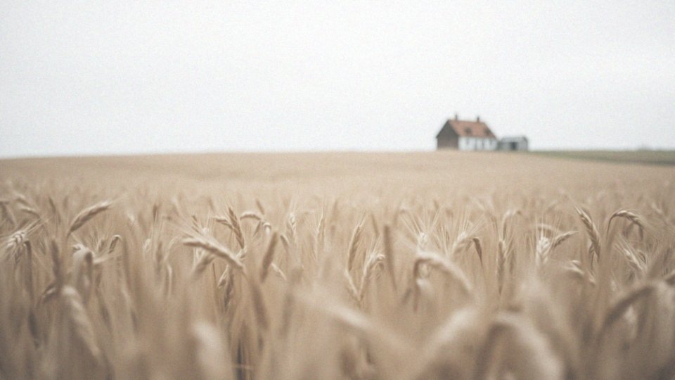 Gruczolak prostaty – rokowania i wpływ na zdrowie