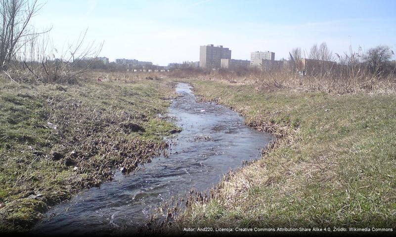 Nad Potokiem (Radom)